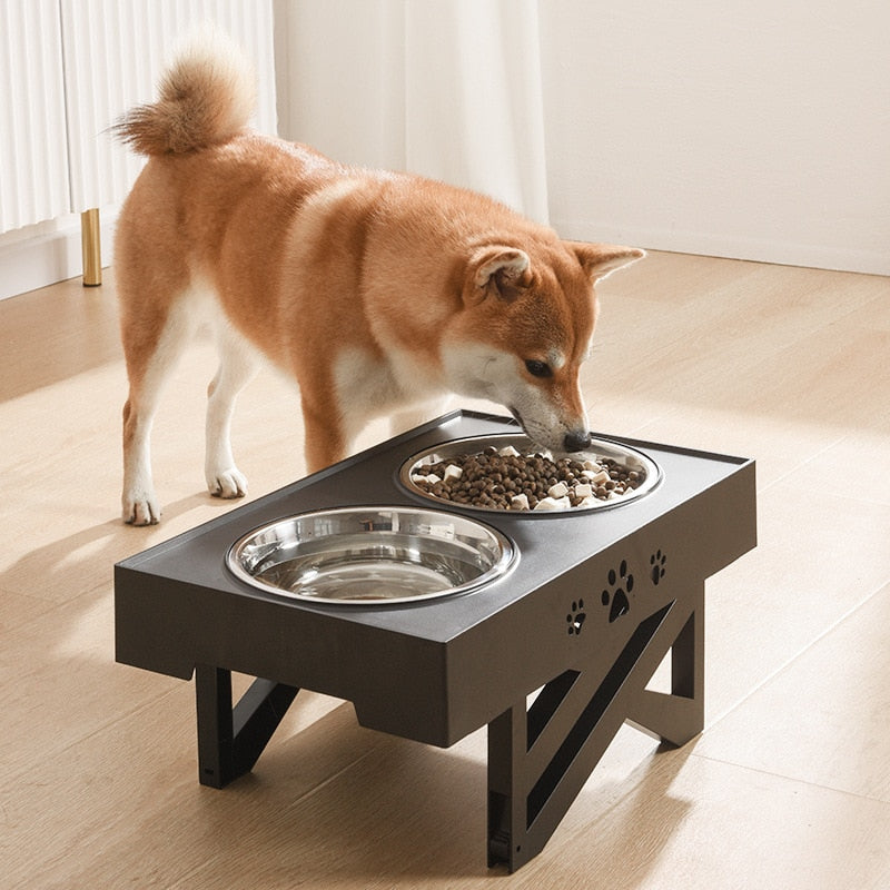 Comedouro elevado para comida e água para cães e gatos