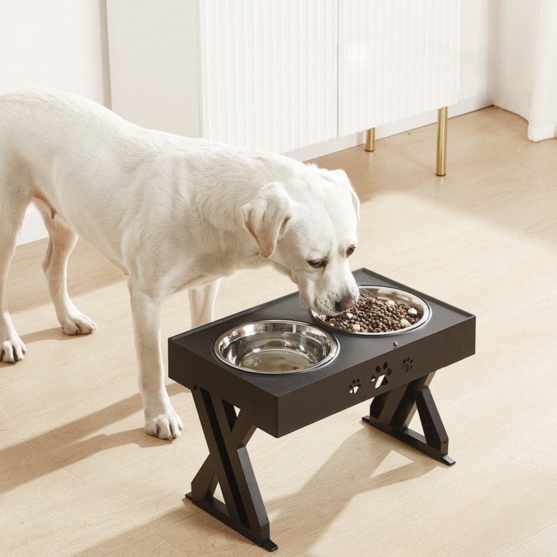 Comedouro elevado para comida e água para cães e gatos